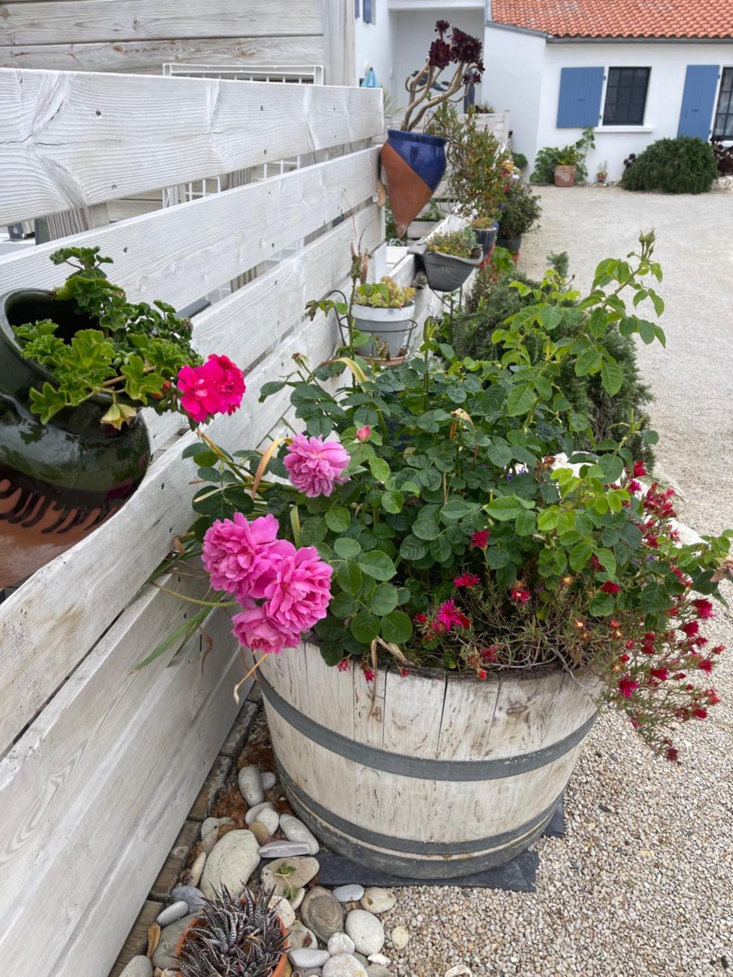 Clos Des Aigrettes -6 Gites De Charme Et Confort A 30M Du Port De La Cotiniere Bagian luar foto
